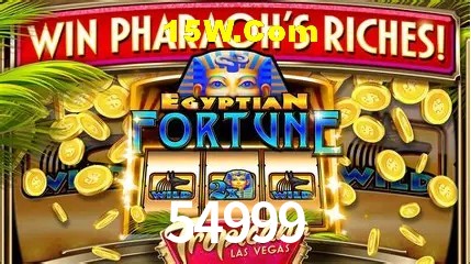 54999 - Customer Support